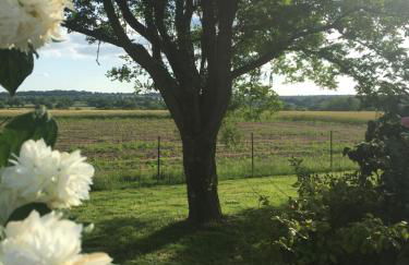 chez juliette - Foto 9