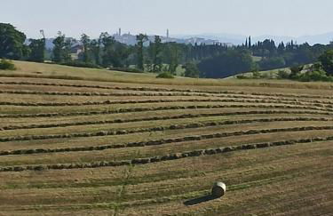Villa Poggio al Sole Bio Agriturismo private pool - Foto 34