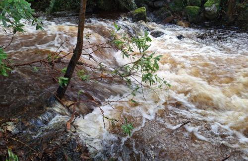 Ryan's Cottage - Photo 43