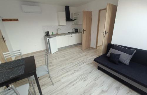 Apartamenty Kwiat Jabłoni - Foto 8