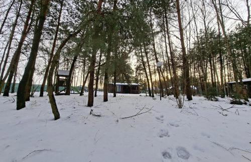 Leśny Zakątek Lipinki Bory Tucholskie - sauna - Foto 42