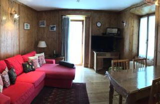 Anemone rosso - Foto 1