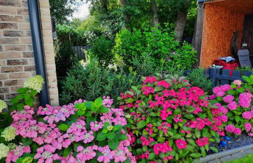 NEU! Ferienwohnung Sylt - Foto 14