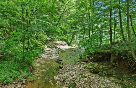 Pole Barn - Rustic 1BR Family Retreat with Open Views - Foto 62