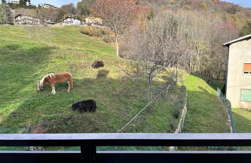 La casetta sul colle di Selvino - Foto 40