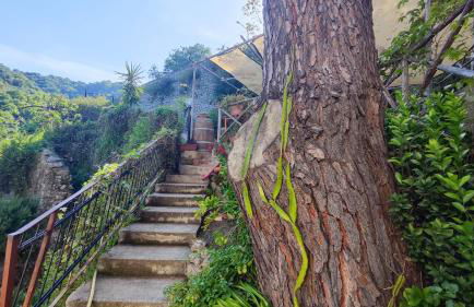 Casa Vacanze Fontanelle - Photo 6