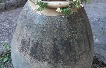 Casa Gazzano - Photo 41