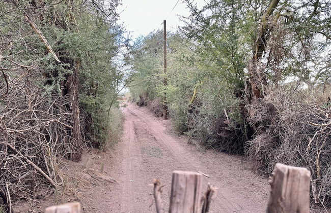 casa turis - Foto 23