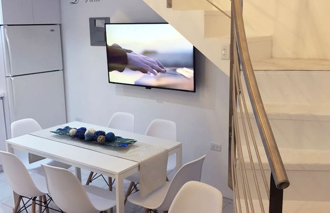 Gladiolas 2104 - Foto 8