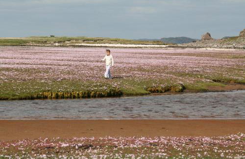 3A Mellon Udrigle - Photo 39