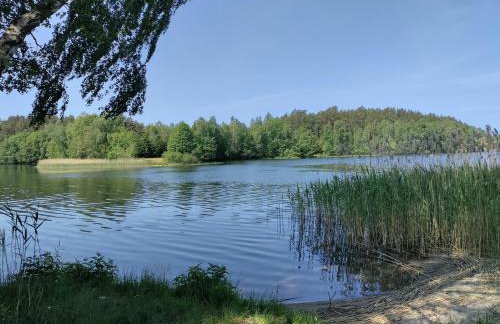 Widny Jaś zaprasza z psem nad jezioro na Kaszubach - Foto 36