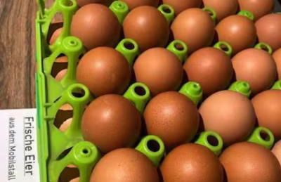 Ferienhof Bannick - Foto 37