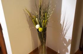 Apartments in Weissenhorn - Foto 31