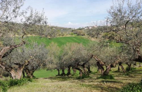 Antico Frantoio - Country House - Foto 5