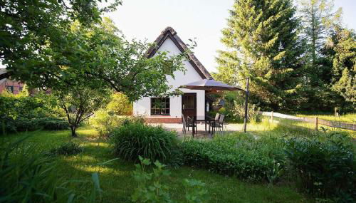 Reetdach Ferienhaus nahe Ostseebad Kühlungsborn - Foto 2