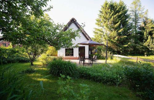 Reetdach Ferienhaus nahe Ostseebad Kühlungsborn - Foto 2
