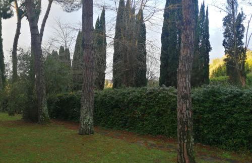 La casa di Duccio con parcheggio gratuito - Foto 26