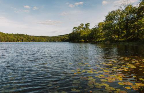 Lakefront with Private Dock & Canoe Kenoza Den - Foto 41