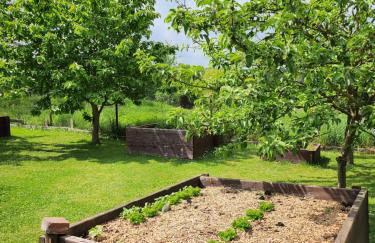 Ferienhaus Naturpur Chorin - Foto 36