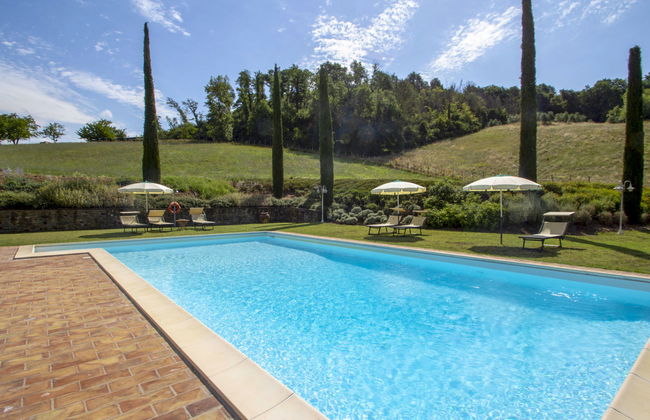 Corbezzolo - Foto 25