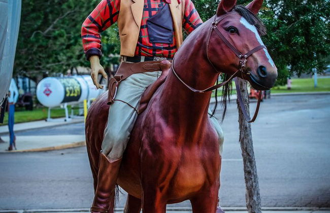 The Big Texan - Cabins & Wagons - Foto 28