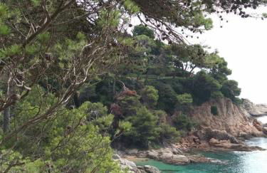 Cala Salions, Chalana II - Foto 77
