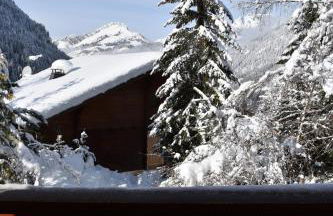 Chalet le Petit Ramoneur - Foto 49