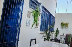 Edícula Villa Fortunato - Foto 19