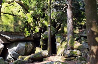 Himmelsleiter - Foto 41