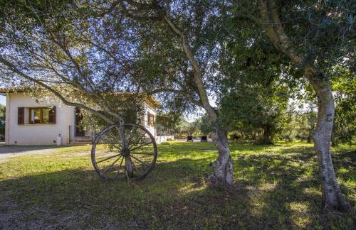 Finca Katia - Photo 18