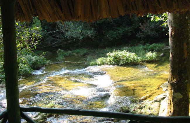 Excursão privada a Las Terrazas e Soroa - Foto 1