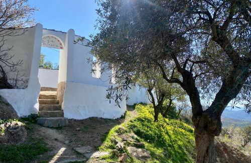 La Tahona (Cortijo Andaluz en las montañas) - Foto 30