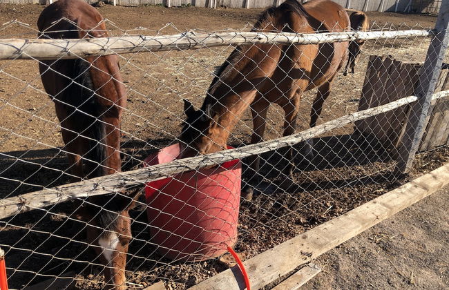 Bio et Bois - Foto 69