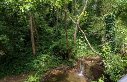 Mulino di Castelvecchio - Foto 51