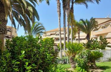 Vista Asomada - Foto 25