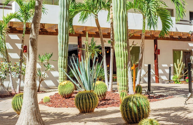 Hotel Santa Fe Loreto by Villa Group - Foto 79