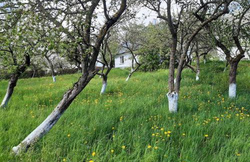 Dom na Suwalszczyźnie - Foto 15