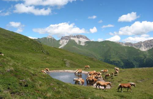 Appartamento Mariuccia - Photo 11