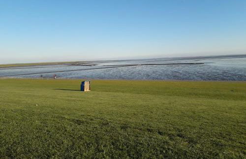 Büsumer blaue Krabbe - Foto 37