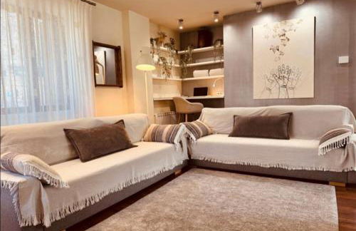 CASA PIXURRI en Lanuza compuesta de 5 apartamentos turísticos en casona pirenaica, a 10 minutos de las ESTACIONES de ESQUÍ de FORMIGAL-PANTICOSA - Foto 78