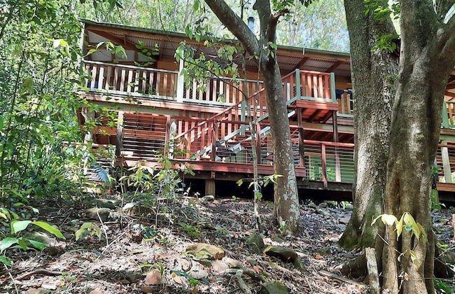 Treetops Accommodation Montville - Photo 46