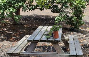 Casa el Porte - Foto 40