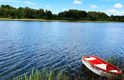 Nad Kamieniem - domki całoroczne - Foto 21