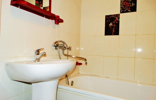 Inndays on Krasnoarmeiskiy 16 - Photo 9