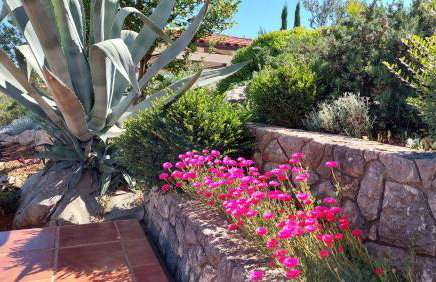 Apartmani Stipe - Foto 15