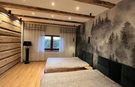 Dom Grabowa z sauną , podgrzewanym basenem i balią z hydromasażem - Foto 4