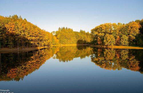 Molehill Shire - Foto 33