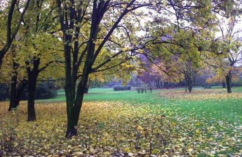 Segrate San Felice - Foto 21