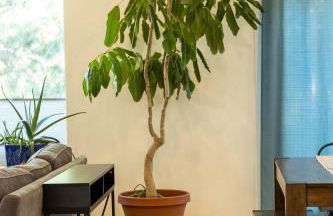 Trailside vacation home—easy walk to Winthrop - Foto 9