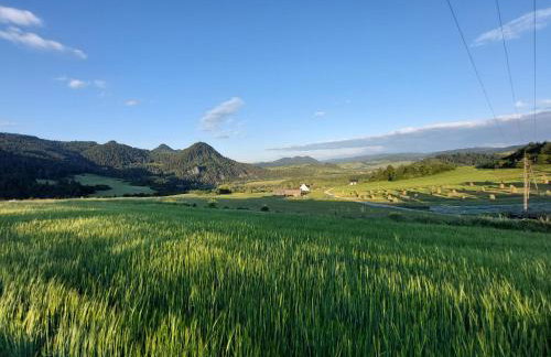 Domek/apartament Przekop - Foto 24